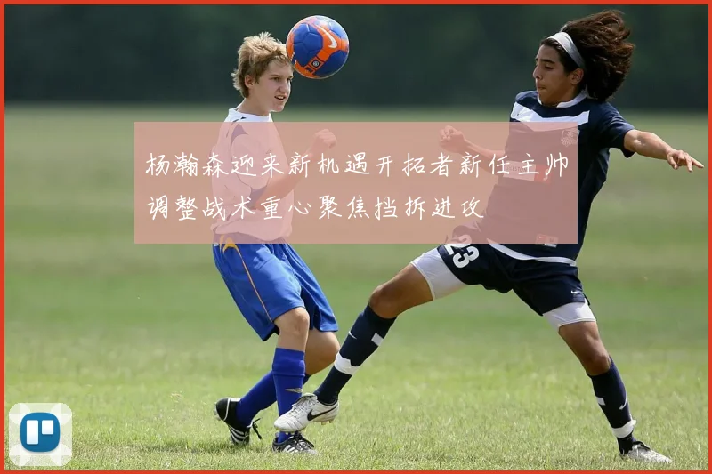 杨瀚森迎来新机遇开拓者新任主帅调整战术重心聚焦挡拆进攻