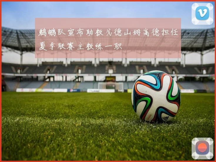 鹈鹕队宣布助教戈德山姆高德担任夏季联赛主教练一职